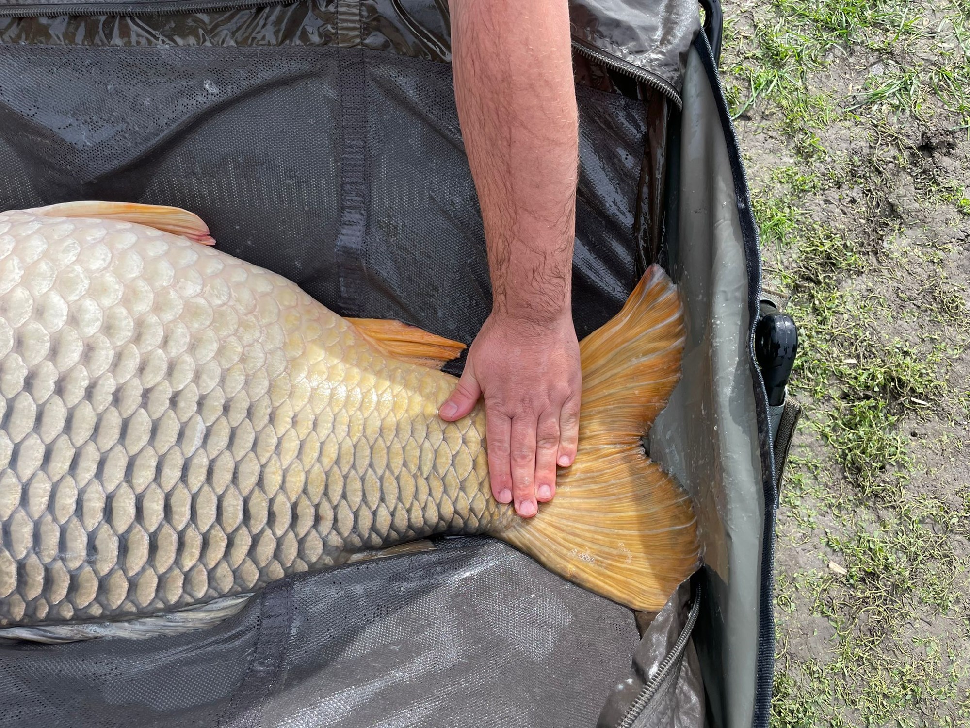 Sacosu Turcesc 28 sept. - 2 oct. - IMG20220929WA0030.jpg